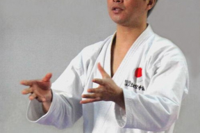 贾平演员