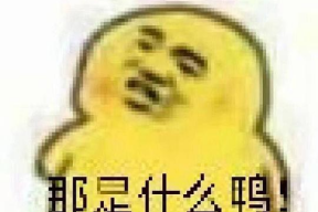 吃瓜表情包图片可爱,吃瓜表情包里的可爱瞬间