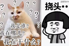 娱乐吃瓜酱专属梗图片,图解娱乐圈那些事儿